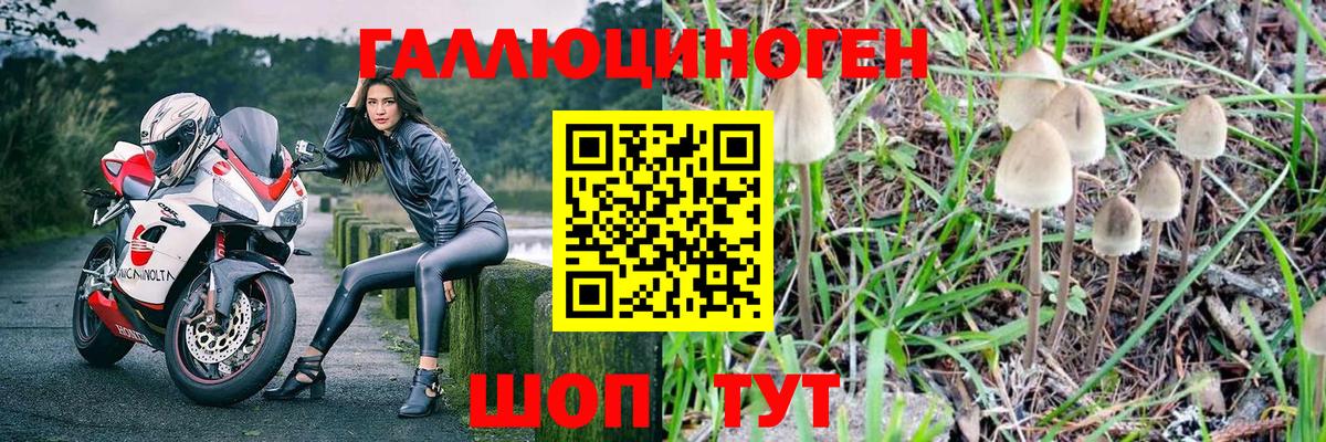 Псилоцибиновые грибы прущие грибы  Вход с VPN  Псилоцибиновые грибы мухоморы  Шебекино 